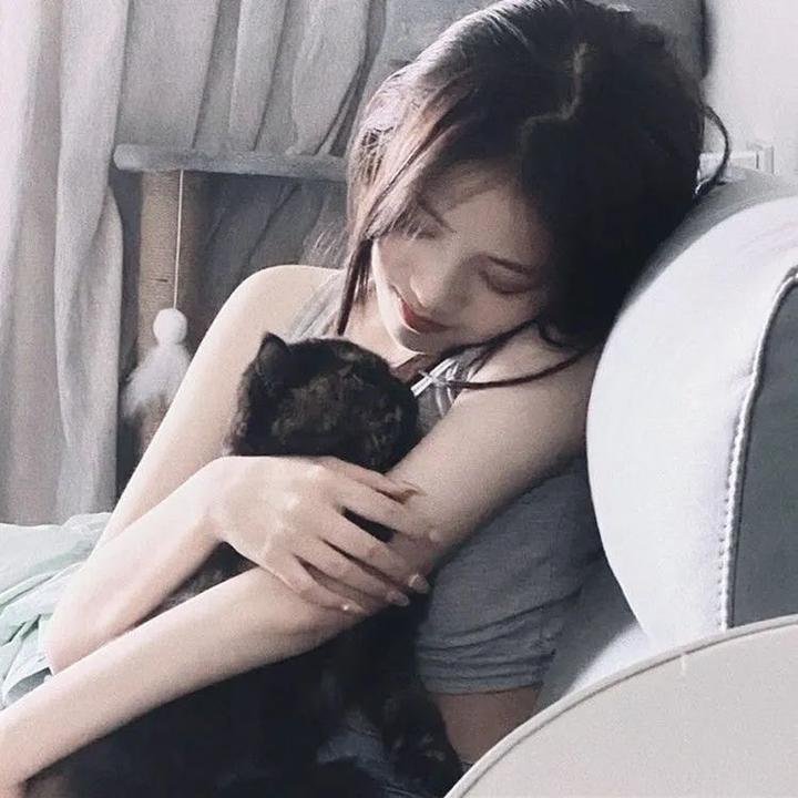 法证先锋2粤语 在线观看